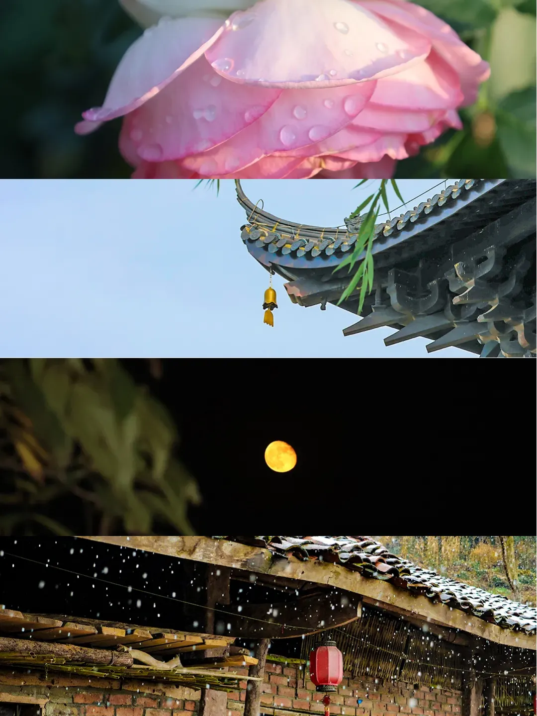 中考材料作文“三读三思”审题法实战训练 第17张