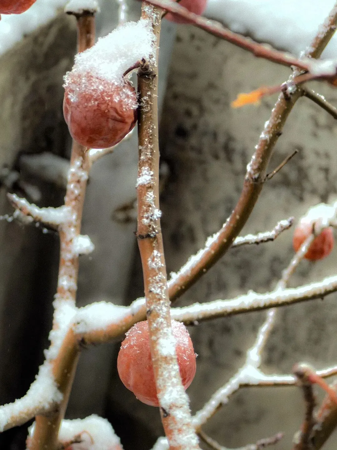 中考材料作文“三读三思”审题法实战训练 第25张