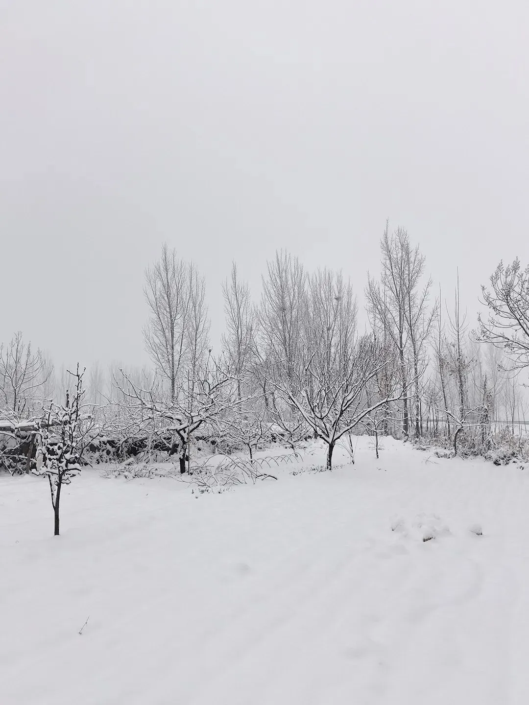 中考材料作文“三读三思”审题法实战训练 第26张