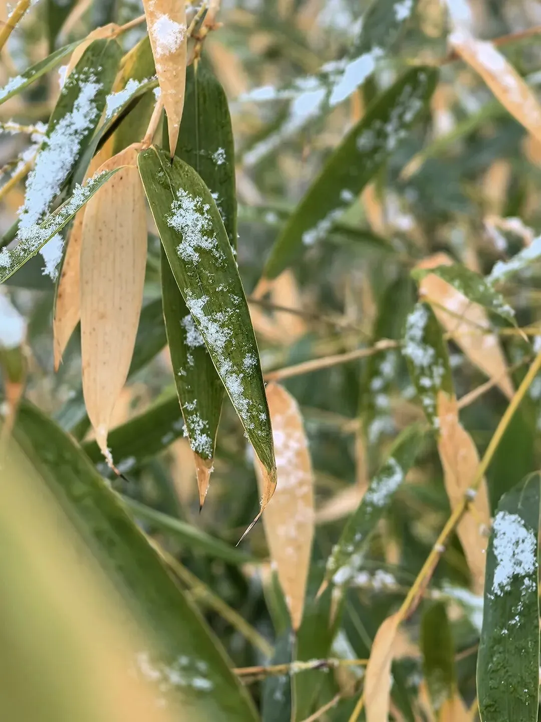 中考材料作文“三读三思”审题法实战训练 第27张