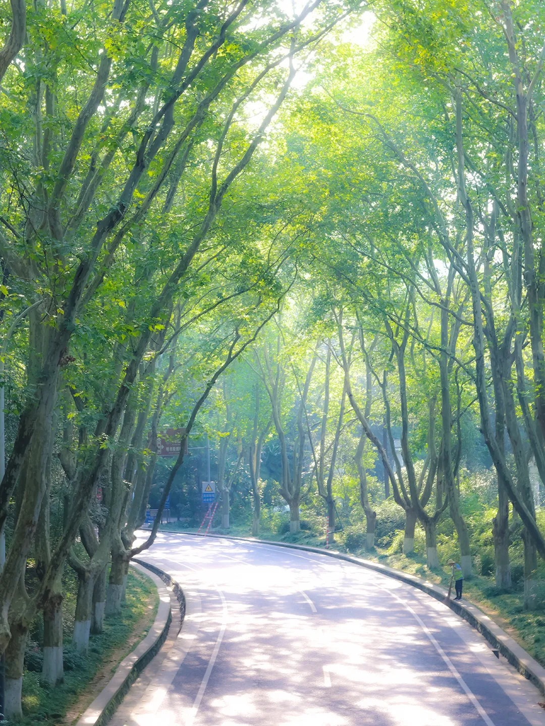 中考材料作文“三读三思”审题法实战训练 第42张