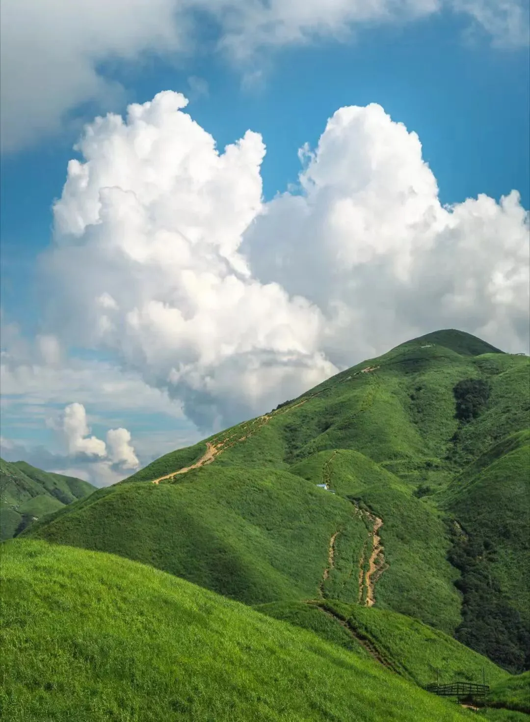 试写中考作文“欣赏”《青山见我》 第1张