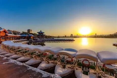 2026年中考语文现代文阅读二轮专题复习——散文意象技巧分析 第1张