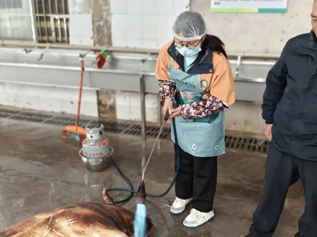 “传承民俗暖校园 凝心聚力助中考”花江中学迎新春杀年猪主题活动圆满落幕 第13张