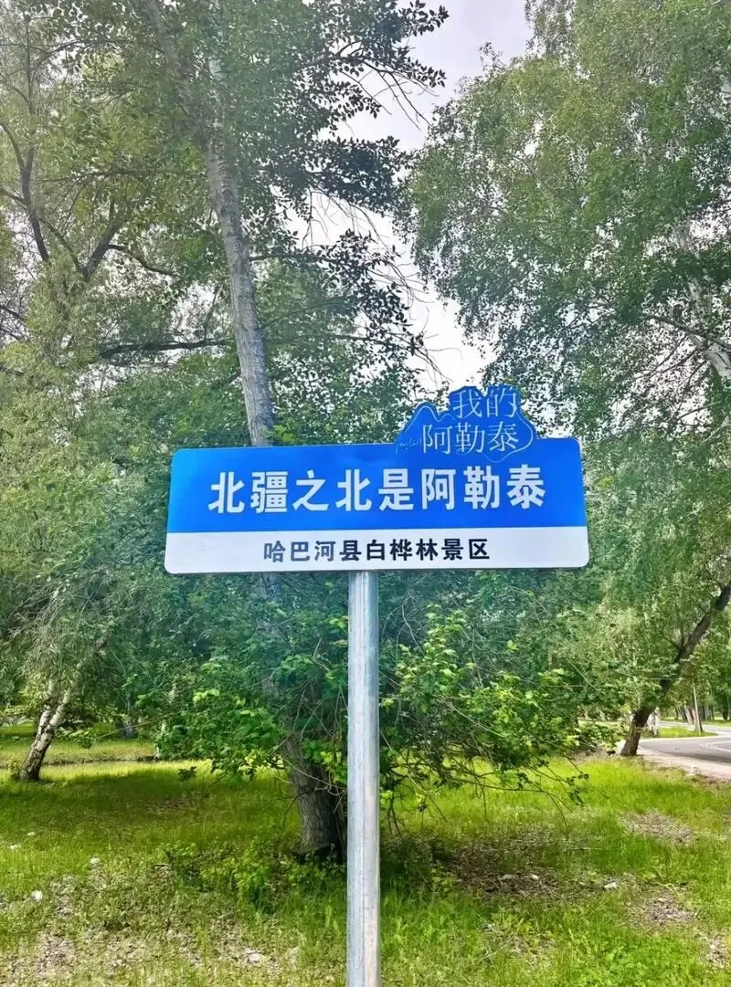 重庆中考英语新题型概要补全练习7 第1张