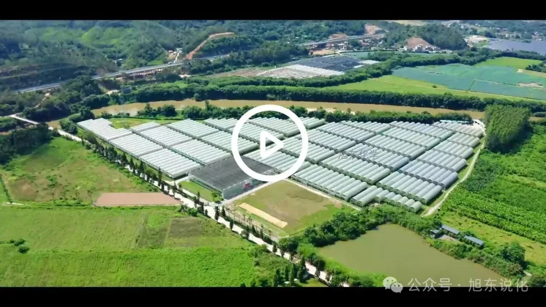 2026版中考化学复习课件 | “化” 说葡萄 —— 化学在农业与健康中的应用 第2张