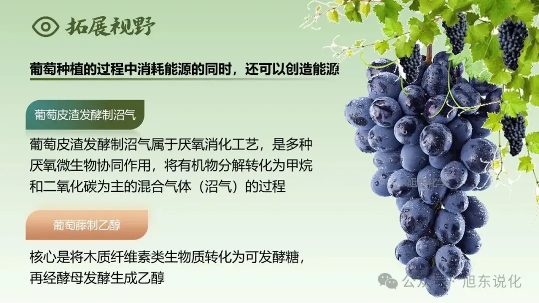 2026版中考化学复习课件 | “化” 说葡萄 —— 化学在农业与健康中的应用 第6张