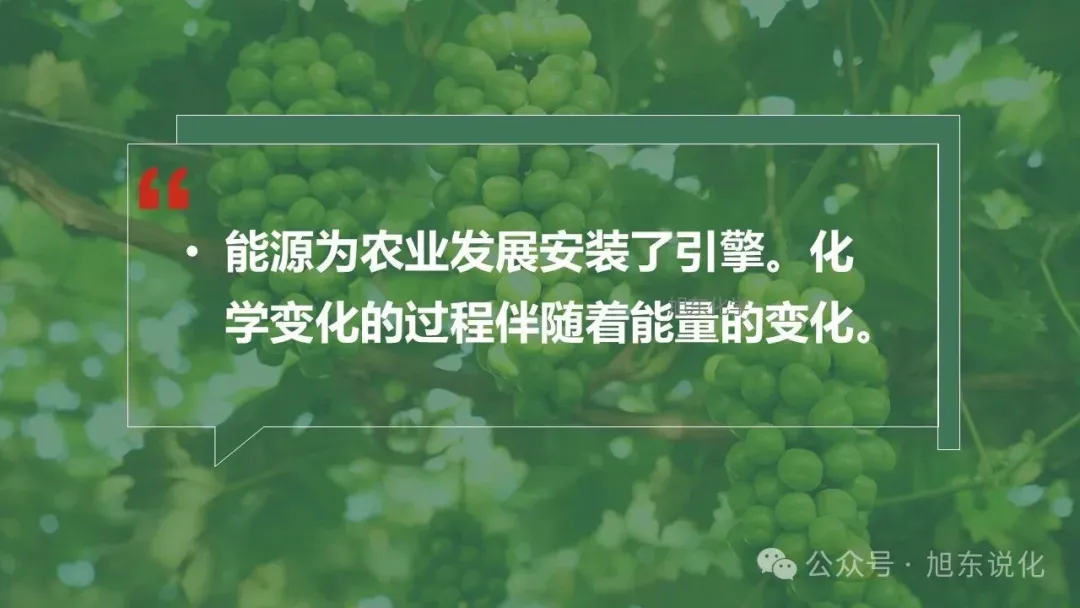 2026版中考化学复习课件 | “化” 说葡萄 —— 化学在农业与健康中的应用 第7张