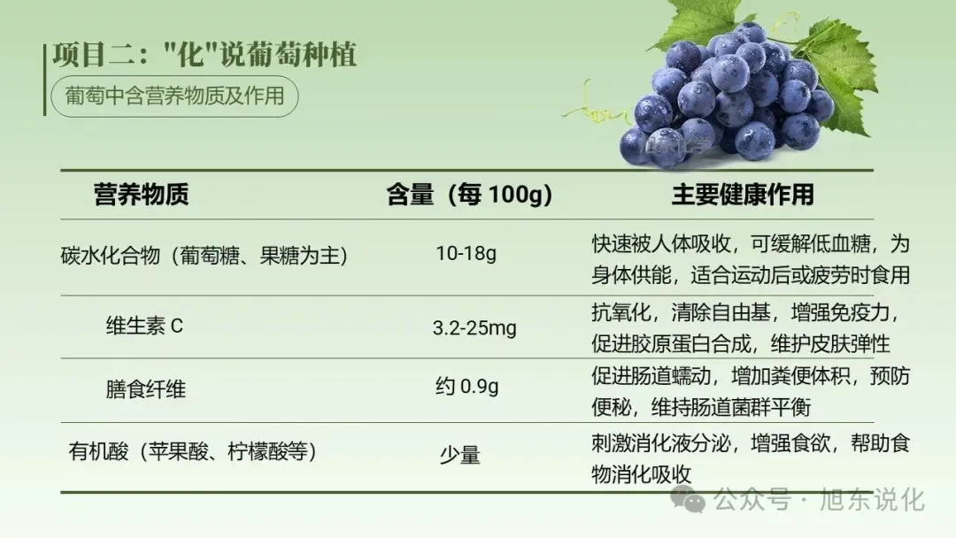 2026版中考化学复习课件 | “化” 说葡萄 —— 化学在农业与健康中的应用 第13张