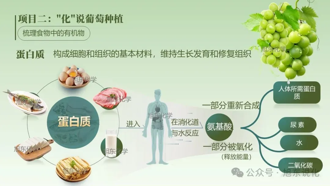 2026版中考化学复习课件 | “化” 说葡萄 —— 化学在农业与健康中的应用 第15张