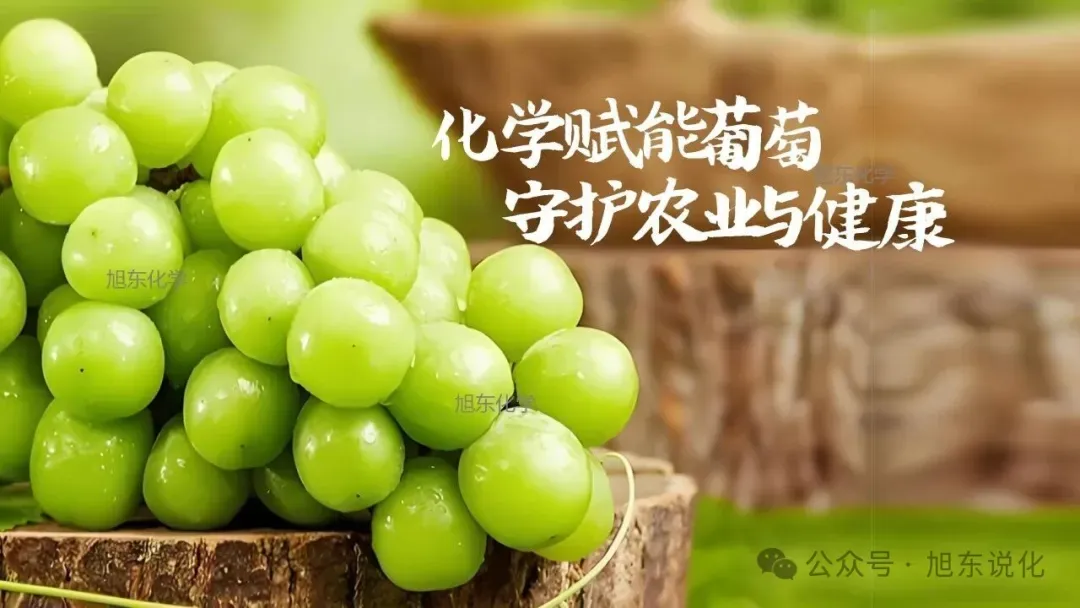 2026版中考化学复习课件 | “化” 说葡萄 —— 化学在农业与健康中的应用 第17张