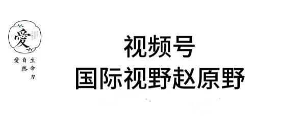 喜报!中考700+、英语全年级第一、被省重点录取,这位妈妈的“豪赌”,换来了女儿的完美逆袭 第7张