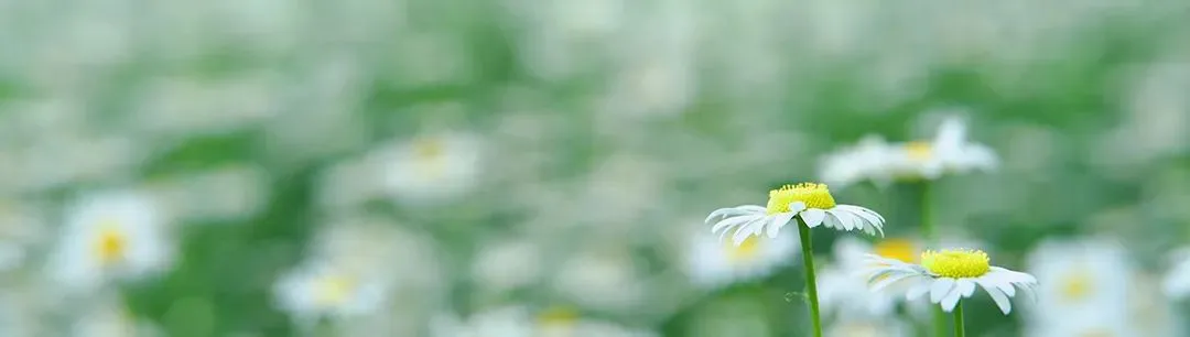 思想早餐|济南中考语文答不完题?4个“隐形坑”+实战解法,120分钟稳拿高分 第5张 思想早餐|济南中考语文答不完题?4个“隐形坑”+实战解法,120分钟稳拿高分 第5张