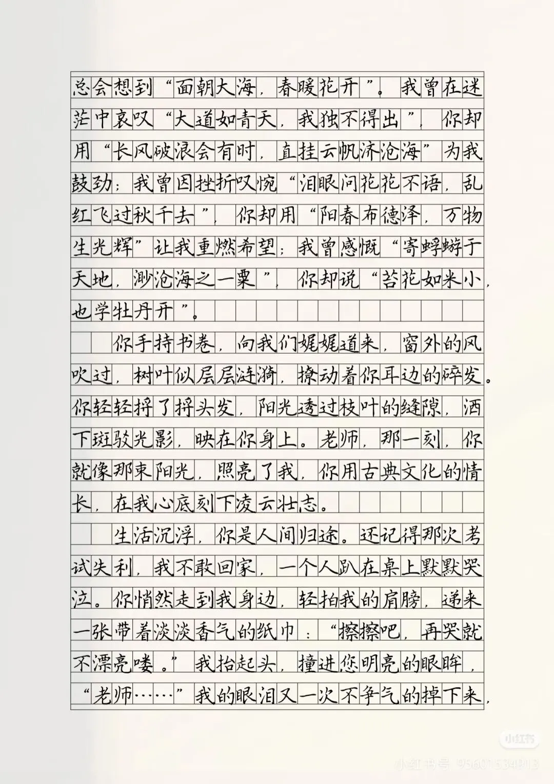 2026年中考语文阅读理解必得高分的五大答题技巧【附赠5篇满分范文】 第15张