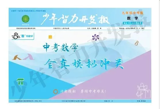 【中考数学】少年智力开发报中考数学产品介绍 第12张 【中考数学】少年智力开发报中考数学产品介绍 第12张