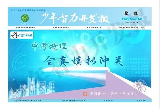 【中考理化】少年智力开发报中考物理化学产品介绍 第9张