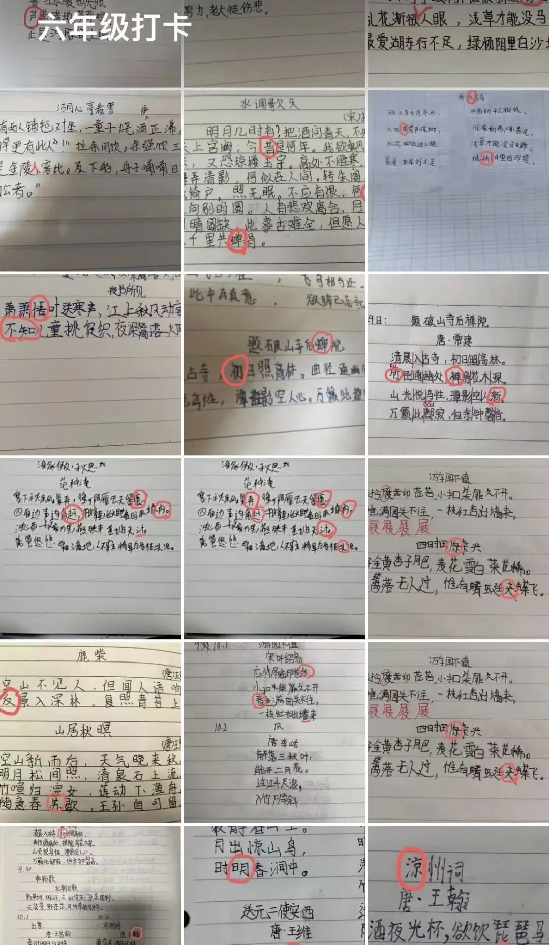 从小学高年级到中考:这份语文长线规划,建议每位家长收藏 第1张