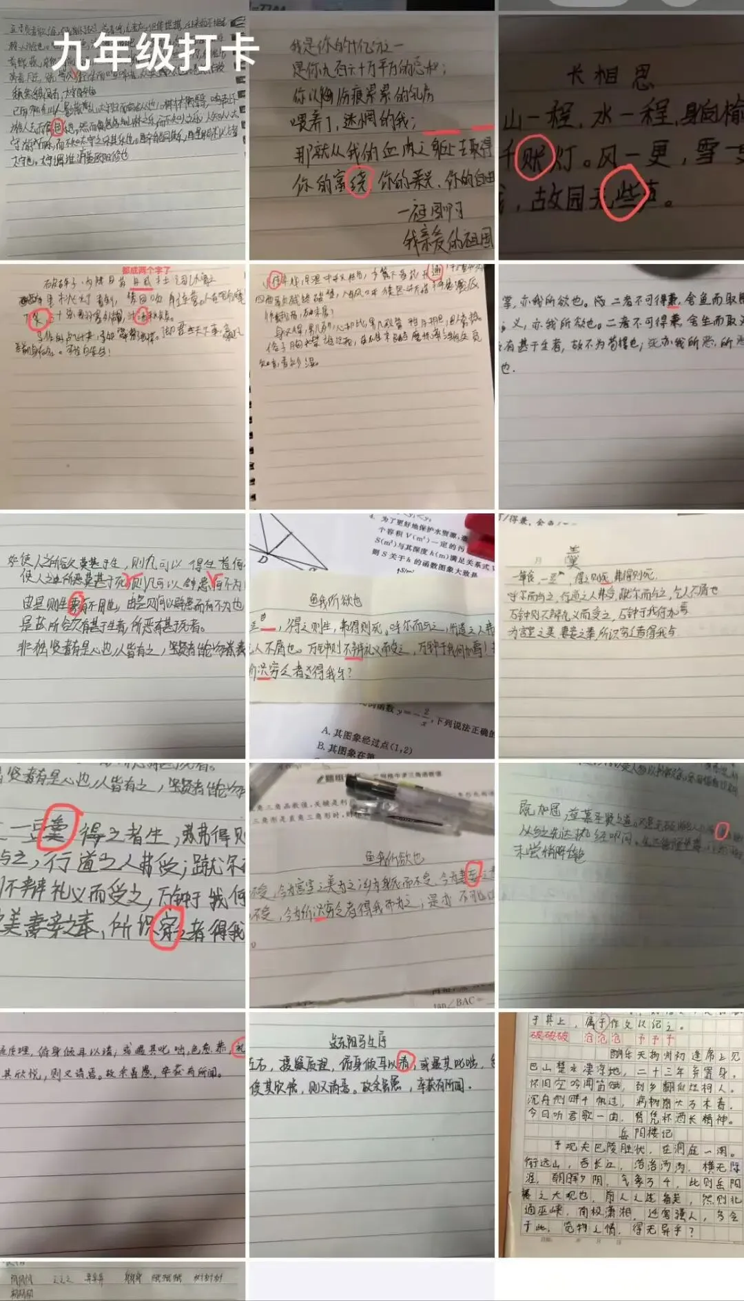 从小学高年级到中考:这份语文长线规划,建议每位家长收藏 第2张