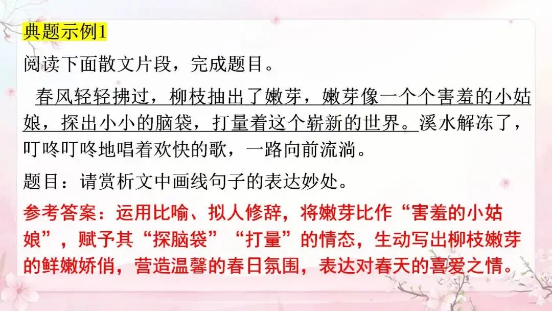 2026年中考语文专题复习讲义散文阅读精讲 第7张