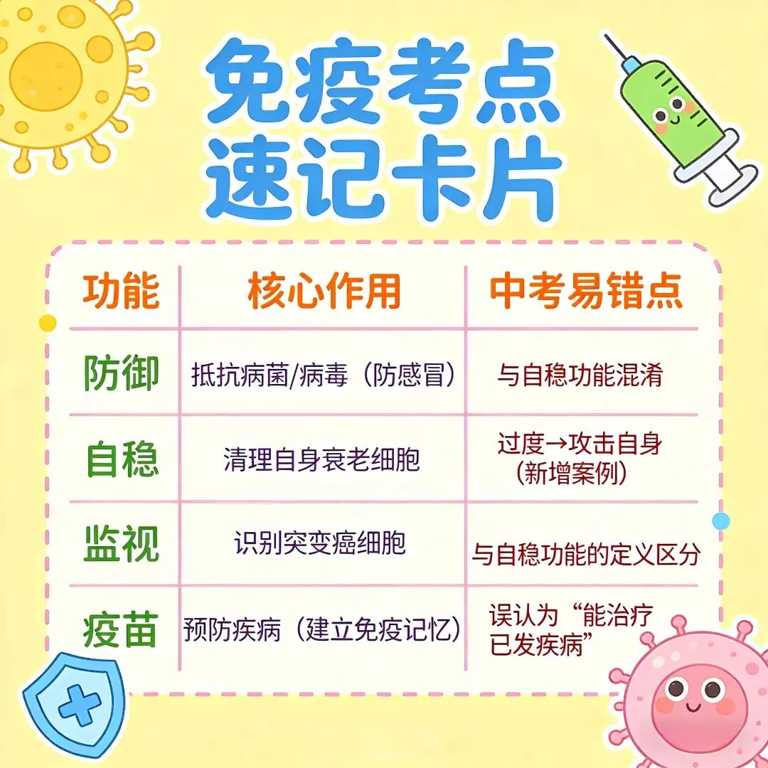2026沧州中考生物新增考点|免疫力不是越强越好!3大易错点避坑指南 第3张