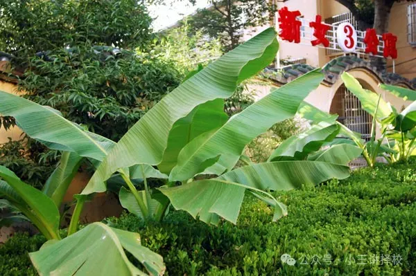 2026年西安中考后想上铁路、铁道类专业的职业学校有哪些可以选择? 第4张 2026年西安中考后想上铁路、铁道类专业的职业学校有哪些可以选择? 第4张