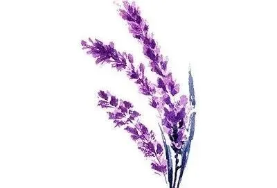 中考语文作文升级案例 | 在时间的隧道里,种一盆花 第2张 中考语文作文升级案例 | 在时间的隧道里,种一盆花 第2张