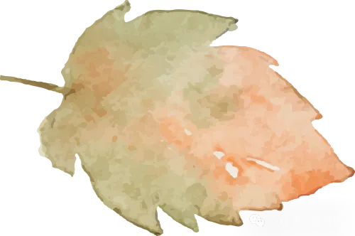 中考资讯丨《2026年》广东省中考时间已确定,韶关初三学生! 第22张 中考资讯丨《2026年》广东省中考时间已确定,韶关初三学生! 第22张