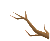 解析和技巧~可直接打印@湖南省新中考英语试题原卷(每道大题都有解析,技巧及备考建议哦) 第20张