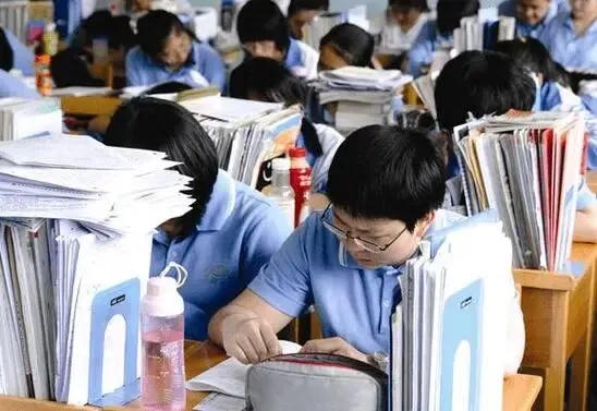 中考不是终点站:用“特质匹配”选对路,比“硬挤普高”更靠谱 第10张