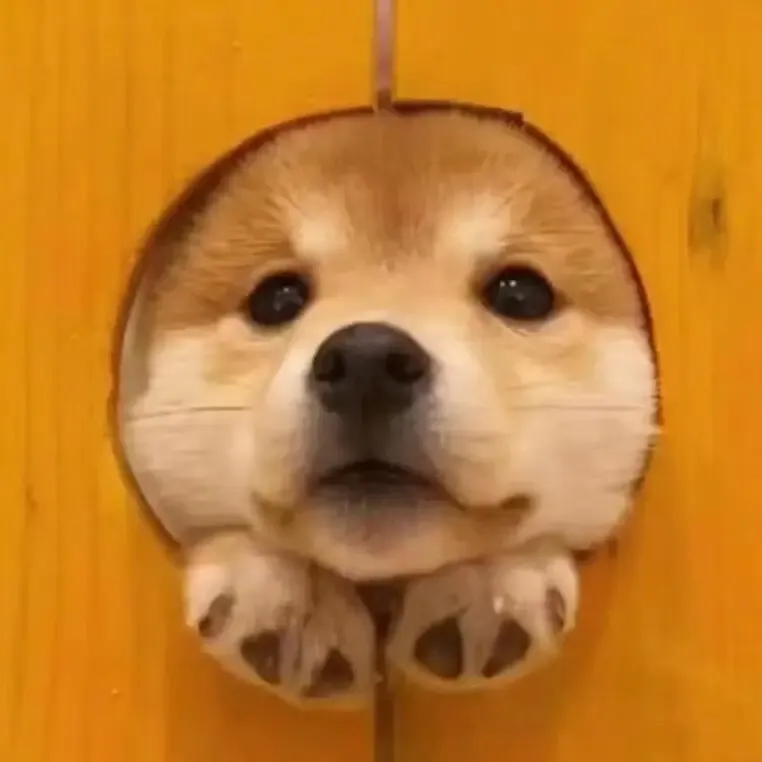 2026初三生寒假计划(备战中考版) 第2张 2026初三生寒假计划(备战中考版) 第2张