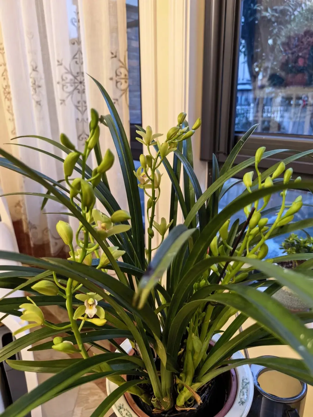 【中考作文指导】2026年嘉定区一模《竟然还有一条路》作文审题指导 第1张 【中考作文指导】2026年嘉定区一模《竟然还有一条路》作文审题指导 第1张