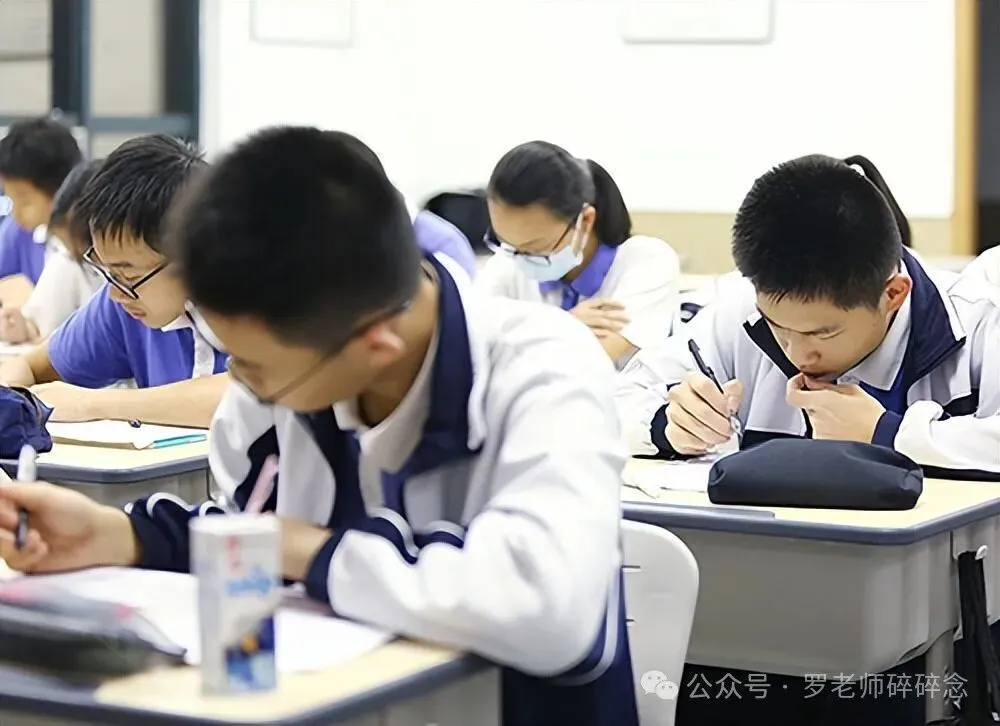 中考的实质,到底是什么? 第1张