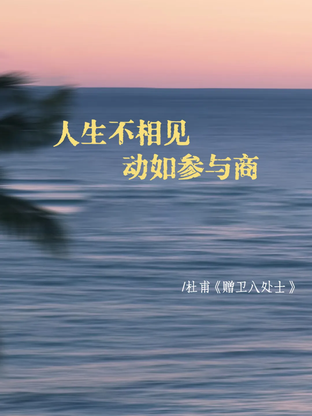 语文26中考风向 第1张