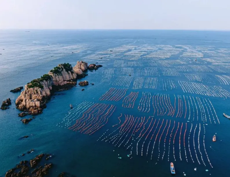 取消中考选拔,普通高中全员直升! 第3张