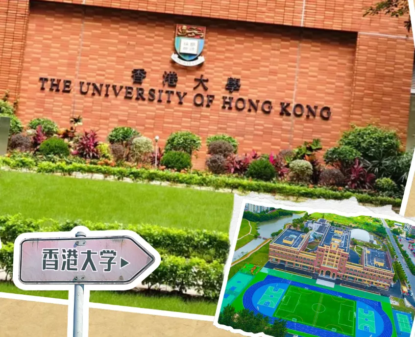 中考分流不是终点:深度拆解7大海外升学路径 第7张 中考分流不是终点:深度拆解7大海外升学路径 第7张