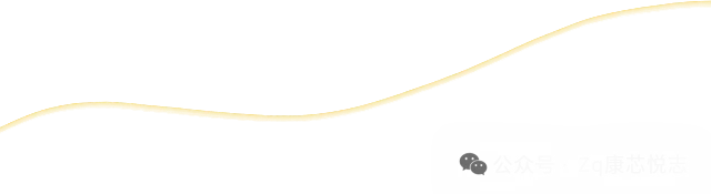 【复习资料】2025-2026物理中考总复习试题(复习课件+专题复习+复习讲义+精编真题)全套下载 第16张