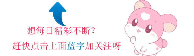 浙江嵊泗取消中考引全网炸锅,彻底告别中考分层全员直升普高 第1张 浙江嵊泗取消中考引全网炸锅,彻底告别中考分层全员直升普高 第1张