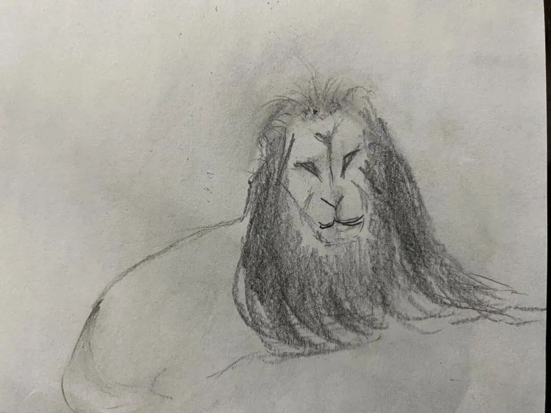 中考分区高考分省 第4张