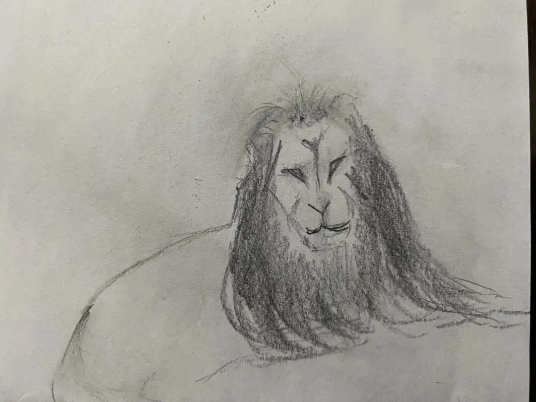 中考分区高考分省 第5张