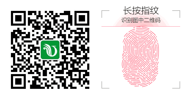 2026年中考项目确定 第3张