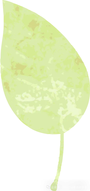 中考英语作文提分!10 大热点话题必背句型,打印即背! 第3张 中考英语作文提分!10 大热点话题必背句型,打印即背! 第3张