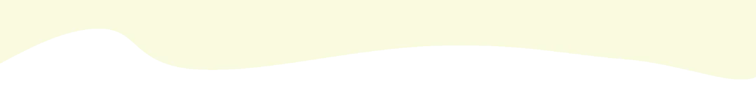 汇总|2025上海中考「16区统招线」大全!看看你的一模成绩能划到哪所高中? 第9张