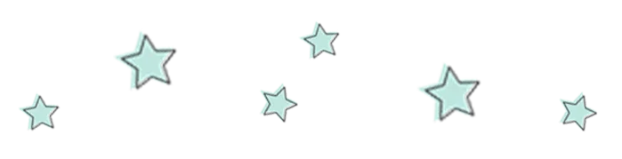 汇总|2025上海中考「16区统招线」大全!看看你的一模成绩能划到哪所高中? 第14张