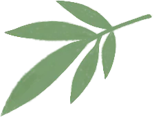 寒假作业—中考889高频词逆袭分层作业 第8张 寒假作业—中考889高频词逆袭分层作业 第8张