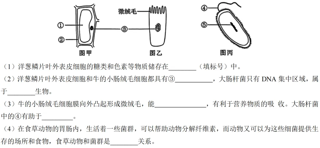 2026年中考生物备考刷真题:使用显微镜观察细胞——新版初中生物讲义配套习题 第3张
