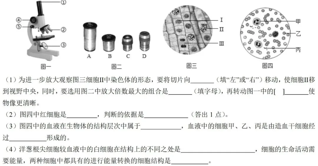 2026年中考生物备考刷真题:使用显微镜观察细胞——新版初中生物讲义配套习题 第5张