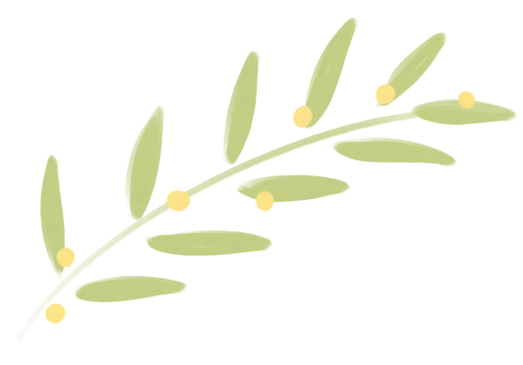 三源书吧【中考教辅推荐】高效备考中考总复习+必刷卷,从基础到素养提升,一本在手无忧! 第9张 三源书吧【中考教辅推荐】高效备考中考总复习+必刷卷,从基础到素养提升,一本在手无忧! 第9张