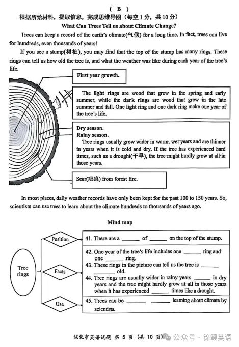 【中考真题】2025年黑龙江省绥化市中考英语试题及答案 第5张