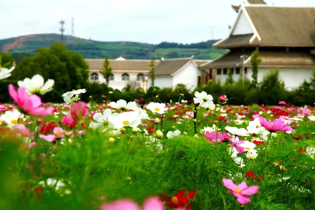 重要提醒!昭通中考成绩8月10日公布! 第5张