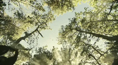 昨天家长群炸了!浙江率先“取消中考”?看完后劲太大了…… 第11张